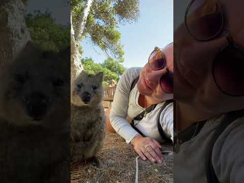 The best selfie is a quokka selfie! #australia #femaletravel #quokkaselfie #exploremore