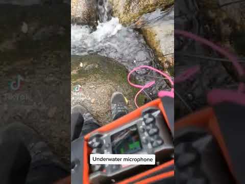 HYDROPHONE TEST 💦